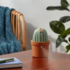 Cactus Ultrasonic Diffuser Green - Opalhouse™ 2 Cactus Ultrasonic Diffuser Green - Opalhouse™ -Opalhouse GUEST be681bb5 49e3 41f7 99a3 5bc52fb79585
